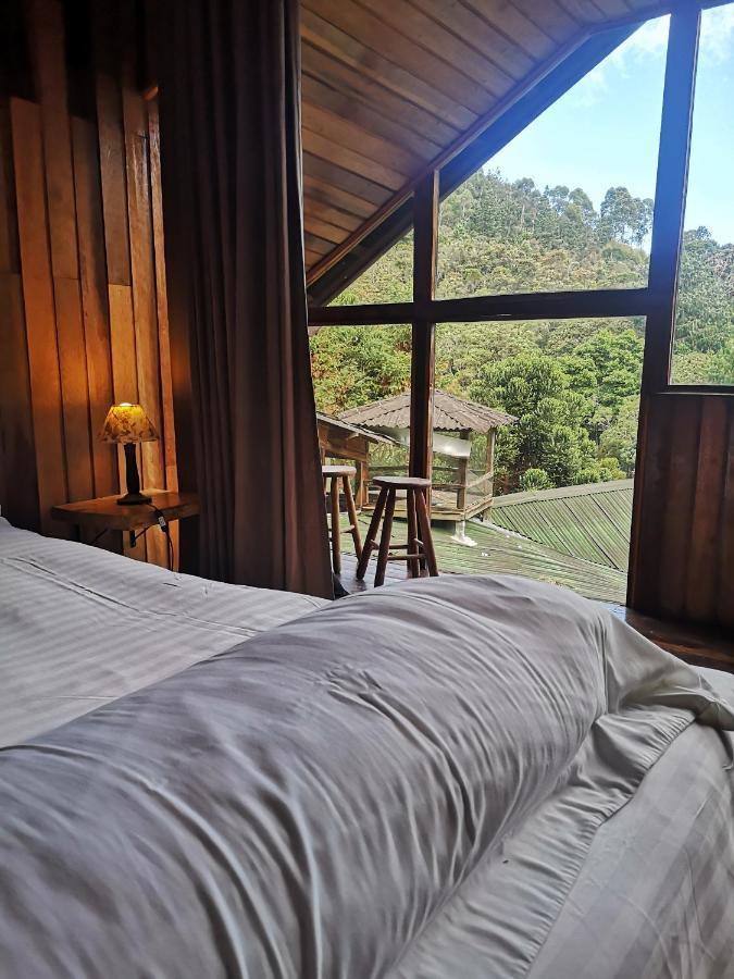 Alive Eco Hut Pousada Monte Verde  Eksteriør bilde